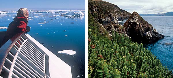 Antarctic Cruises & Tours - ice fields, sub-Antarctic islands